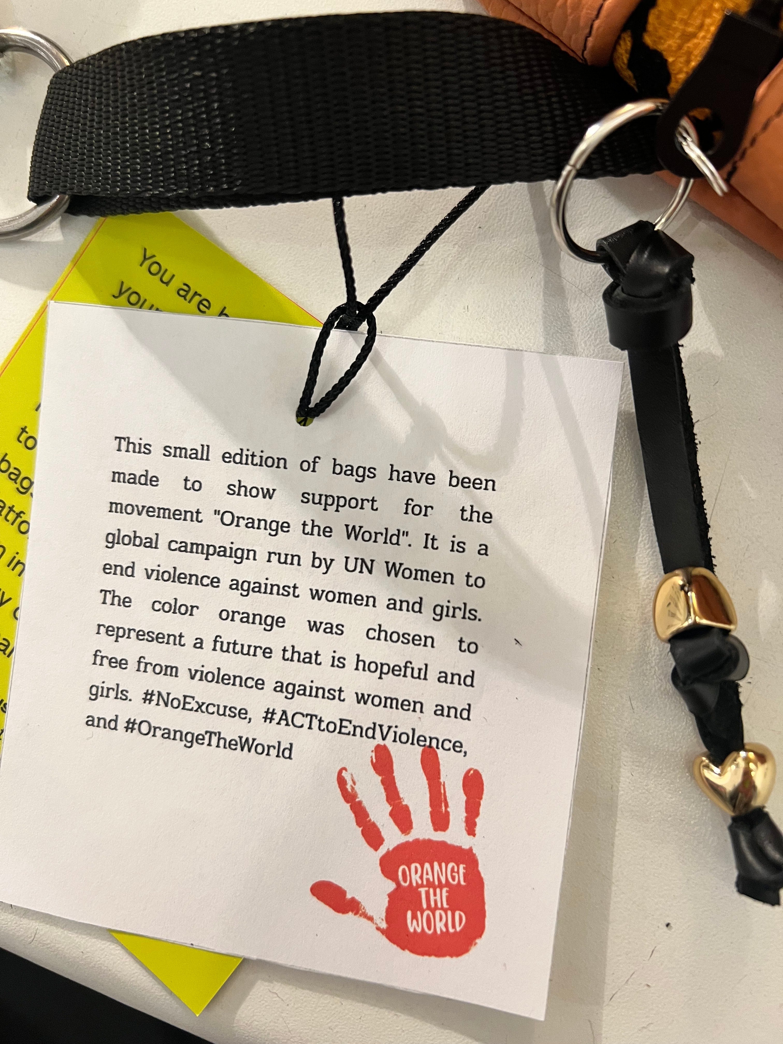 Orange the World a bag with a voice